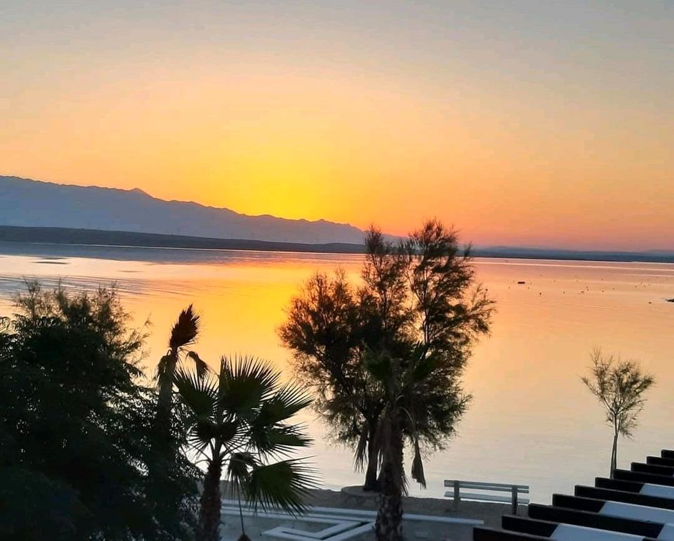 TOP Frane 1 Insel Vir mit Brücke in Kroatien in Köln