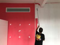 Professional painting services for any size project (EN) Mitte - Tiergarten Vorschau