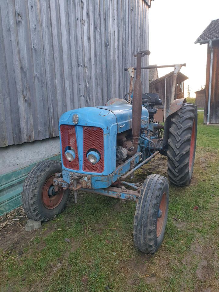 Fordson Super Major Oldtimer Traktor Schlepper in Ammerbuch