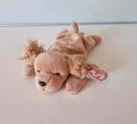 Beanie Baby Ty Hund Spunky Neu Kuscheltier Cocker Spaniel Sammler Bayern - Wartenberg Vorschau