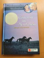 Geisterritt im Mondschein,  Sibylle Luise Binder Nordrhein-Westfalen - Tecklenburg Vorschau