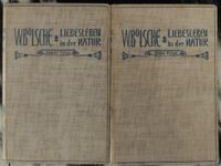 Bölsche: Das ...leben in der Natur Band 2+3 Diederichs 1902 Berlin - Treptow Vorschau