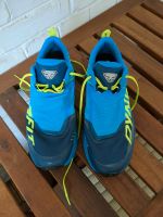 Laufschuhe Dynafit Ultra 100 Stuttgart - Stuttgart-West Vorschau