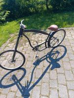 Fahrrad Cruiser Nordrhein-Westfalen - Ascheberg Vorschau