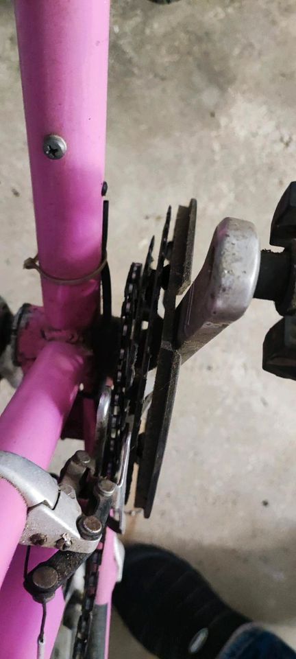 Kettler Alu Rad Pink Fahrrad in Niederkassel