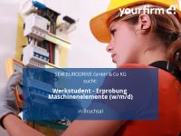 Werkstudent - Erprobung Maschinenelemente (w/m/d) | Bruchsal Baden-Württemberg - Bruchsal Vorschau