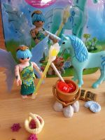 Playmobil 5441 Fairies Heilerfee mit Einhorn Nachtsaphir Nordfriesland - Husum Vorschau