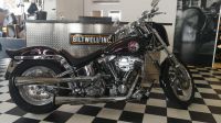 Harley Davidson Softail Custom FXSTC super Umbau - In Flames Bayern - Mindelheim Vorschau