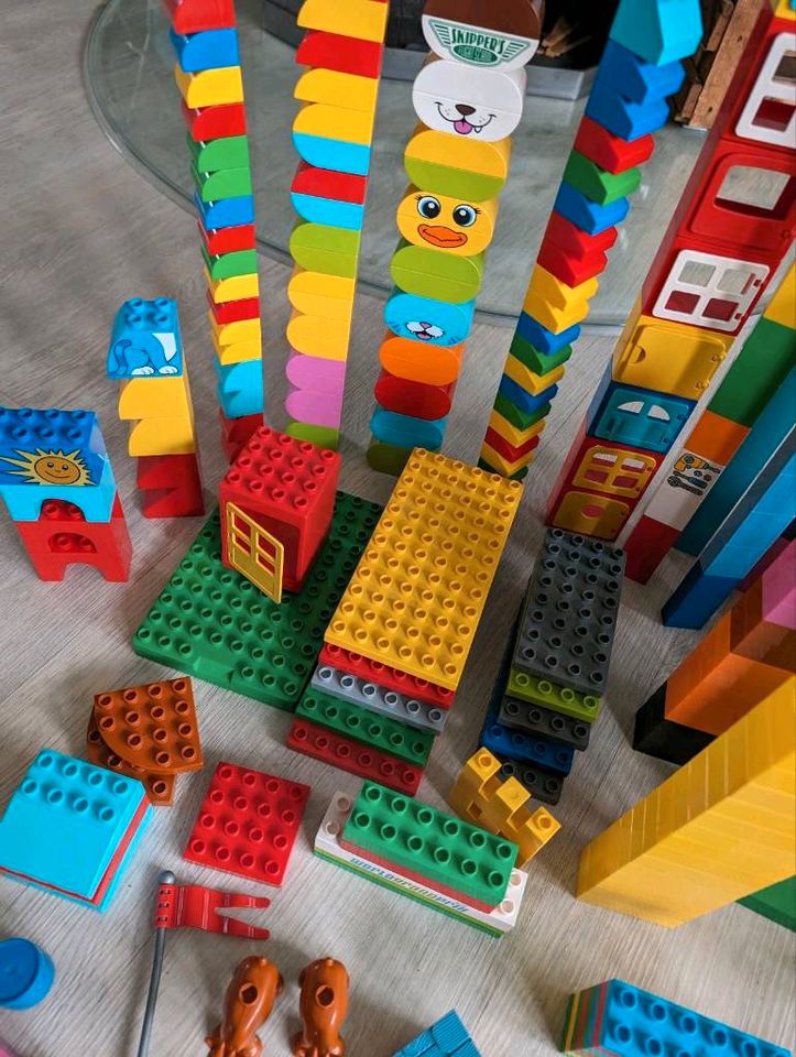 Lego Duplo in Ludwigsfelde