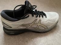 Asics Gel Kayano 25 Laufschuhe Glacier Grey / Black – Gr. 44.5 Berlin - Reinickendorf Vorschau