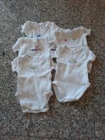 5 Bodies, Bodys, kurzarm, Neugeborene Bayern - Ruhstorf an der Rott Vorschau
