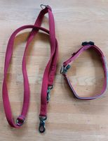 Trixie Hundeleine Halsband Set rot GR L Nordrhein-Westfalen - Balve Vorschau