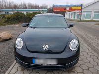 VW Beetle Käfer / Cup Niedersachsen - Moormerland Vorschau