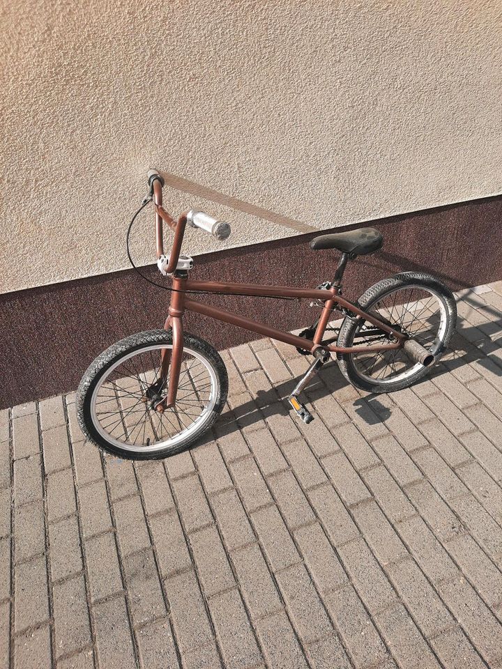 BMX Fahrrad 20 Zoll in Rhinow