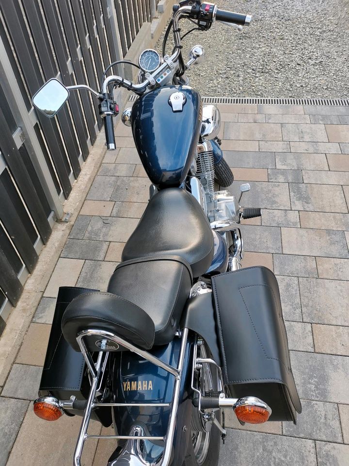 Yamaha Virago 535 in Immenhausen