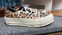 Converse Chucks All Star Nordrhein-Westfalen - Düren Vorschau