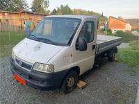 Fiat Ducato Pritsche 2.3 JTD Motor und Getriebe laufen Top Thüringen - Schleiz Vorschau