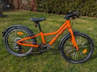 NALOO Chameleon 20" „orange“ Kinder-Fahrrad mit Zubehör Sachsen-Anhalt - Halle Vorschau