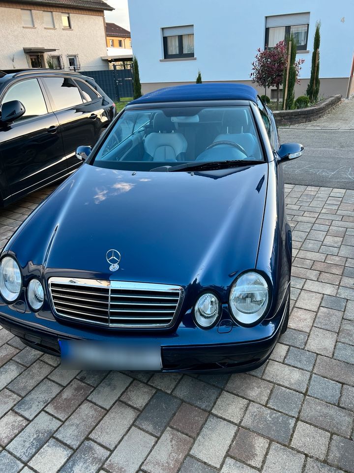 Mercedes-Benz CLK 320 Avantgarde Designo xenon Coman standh. in Gaggenau