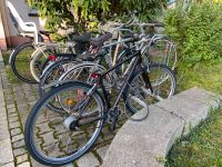Citybike Stadtfahrrad Fahrrad mit Metallkorb, neue Reifen 28 Zoll München - Au-Haidhausen Vorschau