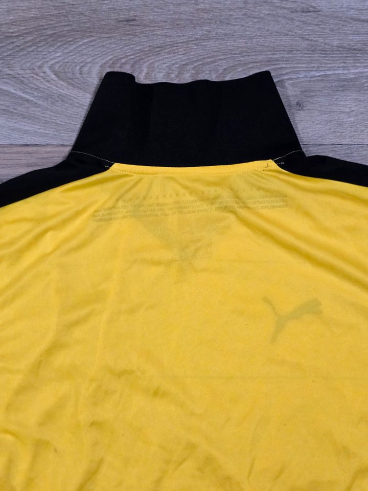 Original BVB 09 Borussia Dortmund Heimtrikot Saison 2015-2016. M in Recklinghausen