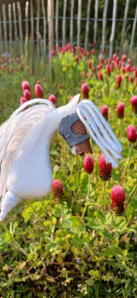 Mini hobby horse in Haselünne