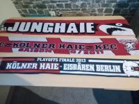 Für Kölner haie Fans Köln - Kalk Vorschau