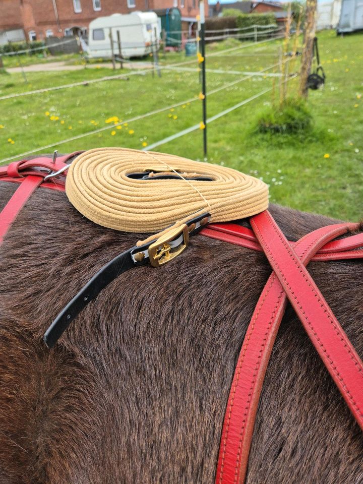 Kutschgeschirr Shettygröße Sulky geschirr in Lütjensee