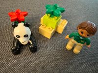 Lego Duplo / Nr. 6173 / Pandabär Bayern - Augsburg Vorschau