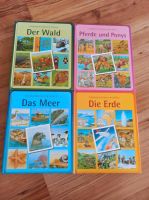 Kinderbücher/Sachbücher:Der Wald, Pferde u Ponys,Das Meer,DieErde Niedersachsen - Wendeburg Vorschau