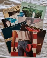 7 Vinyl Schallplatten Bruce Springsteen Hair Barry Manilow Herzogtum Lauenburg - Mölln Vorschau