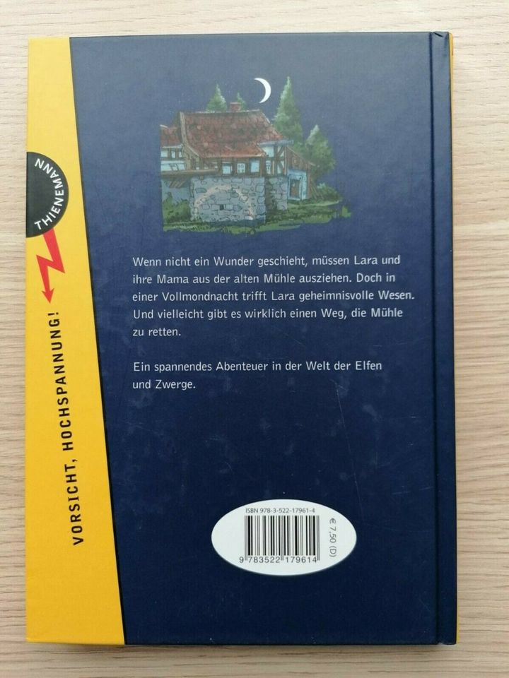 Kinderbuch       Lara und das Geheimnis der Mühle in Burladingen