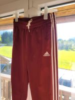 Adidas Sporthose Bayern - Bad Tölz Vorschau