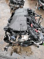 Motor BMW N57D30A 258PS 330D 430D 530D 730D X3 X5 X6 3.0D Berlin - Wilmersdorf Vorschau