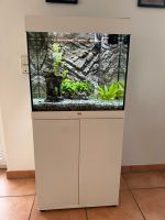 Juwel Lido Aquarium 120l mit Unterschrank komplett inkl. Fische Rheinland-Pfalz - Bad Sobernheim Vorschau