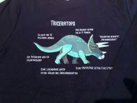 La-Shirt v. ERNSTINGS ,Triceratops‘ Gr. 128 - blau /grün Hessen - Marburg Vorschau