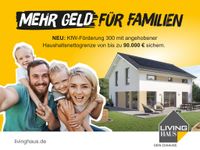 Mit Fördergeld vom Staat und Living Haus werden Wohnträume wahr! Niedersachsen - Winsen (Aller) Vorschau