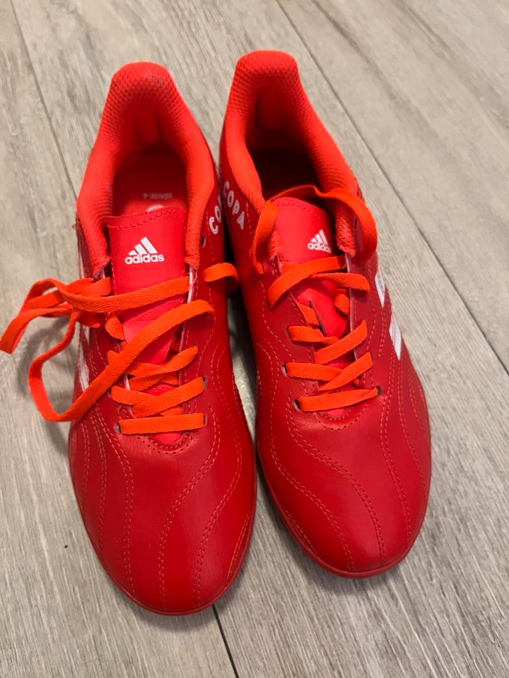 Neue Fußballschuhe. Adidas. Kinderschuhe für Fußball Große 36 37. in Aachen