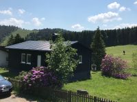 Black+Beauty Ferienhaus + Sauna in Willingen Winterberg Sauerland Hessen - Willingen (Upland) Vorschau
