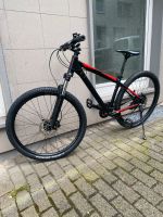 Focus Whistler 29 Zoll Wuppertal - Elberfeld Vorschau