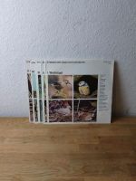 Stimmen der Vögel Mitteleuropas 1-5 LP Schalplatten Nordrhein-Westfalen - Gelsenkirchen Vorschau