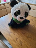 Plüschtier Panda  Bayern - Langenzenn Vorschau