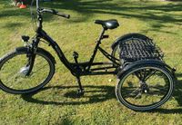 Prophete Cargo 3R E-Bike Dreirad Brandenburg - Frankfurt (Oder) Vorschau