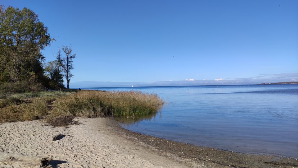 Traumhafte ruhig gelegene Ferienwohnung direkt an der Ostsee in Hohenkirchen