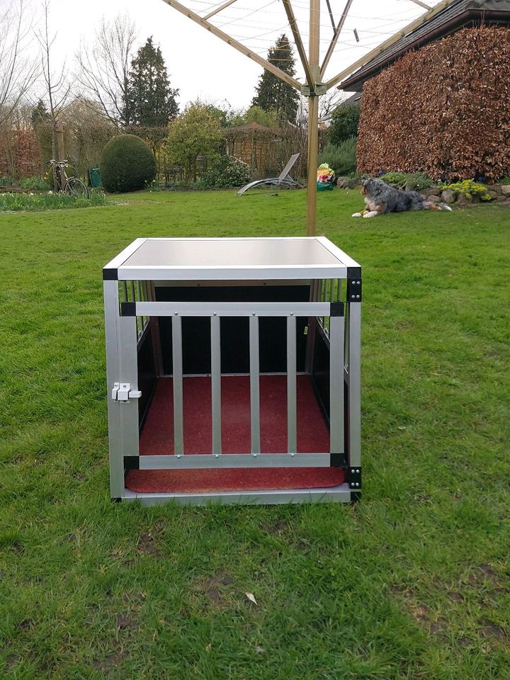 Hunde-Transportbox für kleine und mittlere Hunde in Lienen