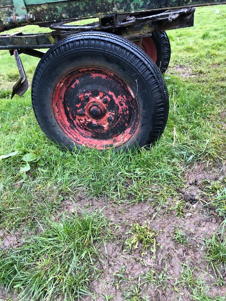 Traktoranhänger, Pferdeanhänger in Pritzwalk