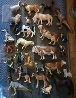 Schleich Raritäten Zoowärter, Kühe, Hunde, Pferde, Dinosaurier Niedersachsen - Jork Vorschau