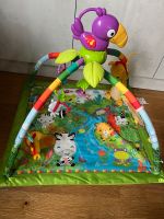 Fisher Price Spieldecke Rainforest Nordrhein-Westfalen - Sankt Augustin Vorschau