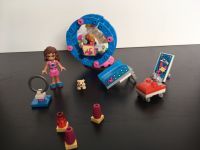 LEGO Friends 41383 Olivias Hamsterspielplatz komplett Berlin - Lichtenberg Vorschau