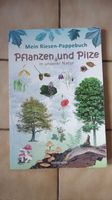 Mein Riesen-Pappebuch Pflanzen und Pilze Baden-Württemberg - Hochdorf (Riß) Vorschau